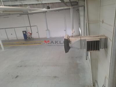 hala Goleniów do wynajęcia