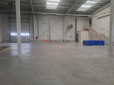 magazyn do wynajęcia łozienica 