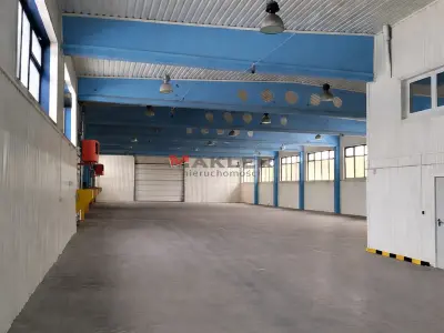 Szczecin Dąbie hala do wynajęcia