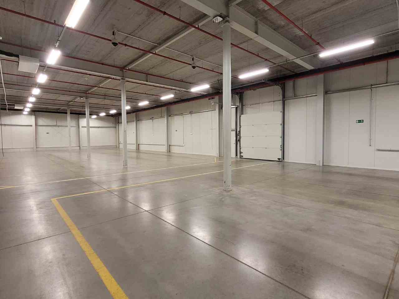 Szczecin Dąbie hala do wynajęcia